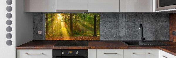 Dekorační panel sklo Les slunce pksh-75879040