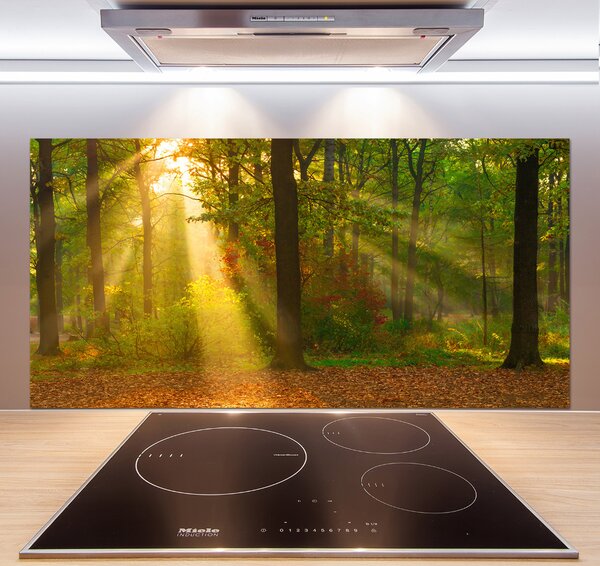 Dekorační panel sklo Les slunce pksh-75879040