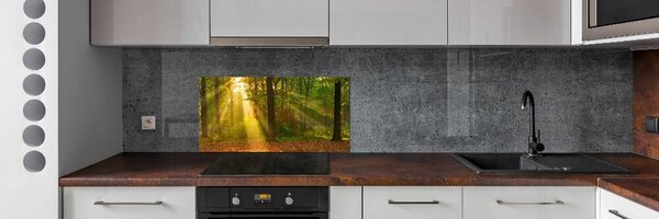 Dekorační panel sklo Les slunce pksh-75879040