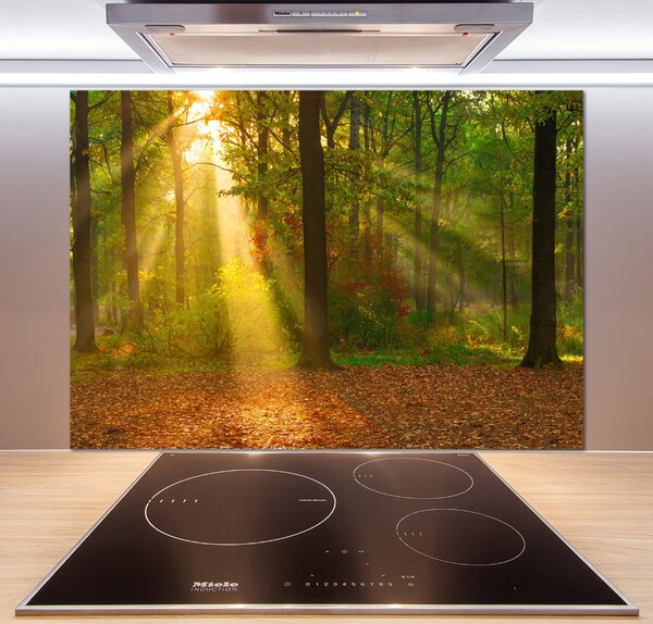 Dekorační panel sklo Les slunce pksh-75879040