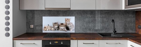 Dekorační panel sklo Pět koček pksh-75950374