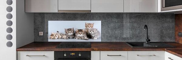 Dekorační panel sklo Pět koček pksh-75950374