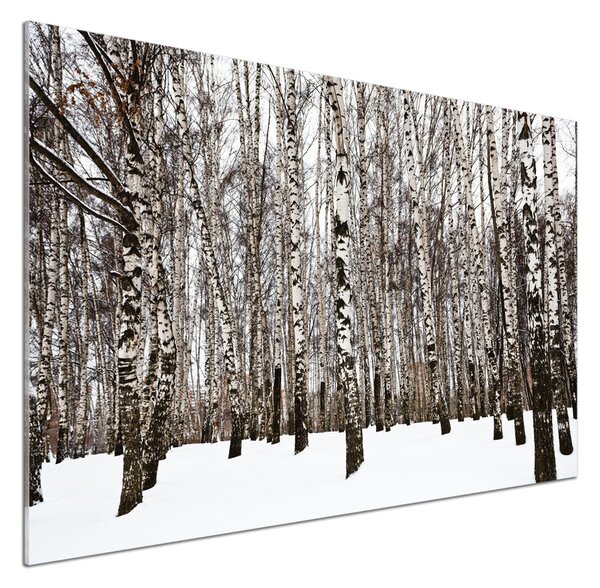 Dekorační panel sklo Břízy zima pksh-76031921