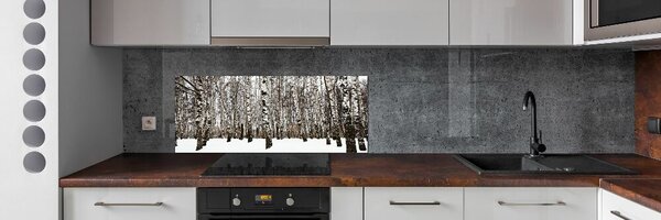 Dekorační panel sklo Břízy zima pksh-76031921