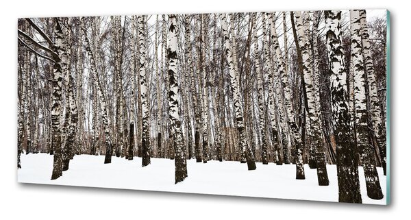 Dekorační panel sklo Břízy zima pksh-76031921