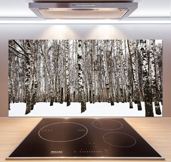 Dekorační panel sklo Břízy zima pksh-76031921