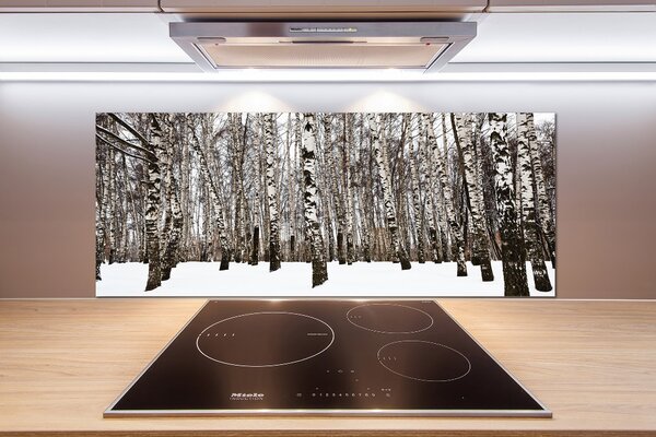 Dekorační panel sklo Břízy zima pksh-76031921