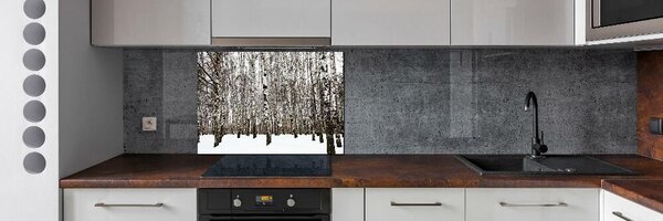 Dekorační panel sklo Břízy zima pksh-76031921
