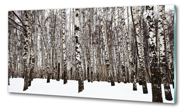 Dekorační panel sklo Břízy zima pksh-76031921