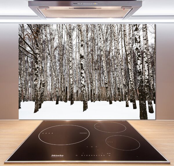 Dekorační panel sklo Břízy zima pksh-76031921