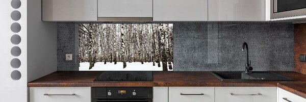 Dekorační panel sklo Břízy zima pksh-76031921