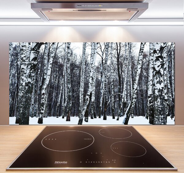Dekorační panel sklo Břízy zima pksh-76031939