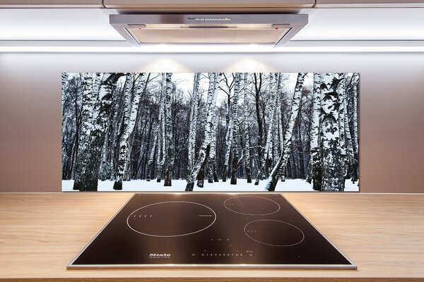 Dekorační panel sklo Břízy zima pksh-76031939