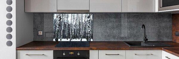 Dekorační panel sklo Břízy zima pksh-76031939