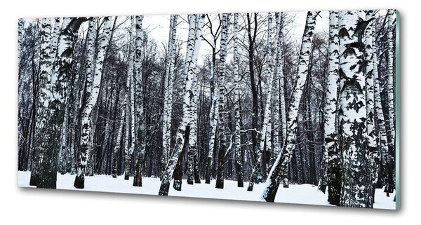 Dekorační panel sklo Břízy zima pksh-76031939