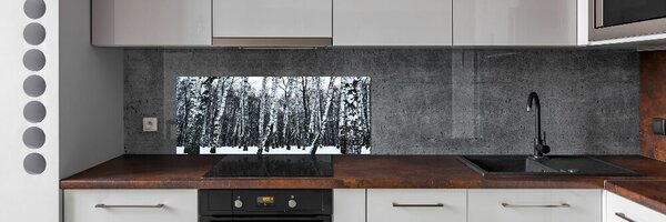 Dekorační panel sklo Břízy zima pksh-76031939
