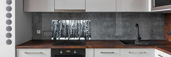 Dekorační panel sklo Břízy zima pksh-76031939