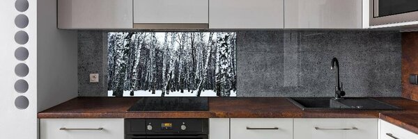 Dekorační panel sklo Břízy zima pksh-76031939
