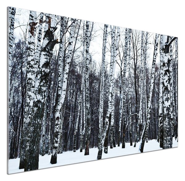 Dekorační panel sklo Břízy zima pksh-76031939