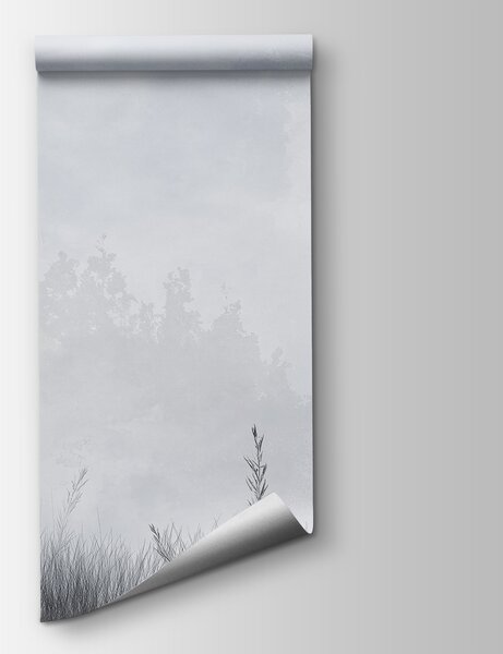 Fototapeta Mlžná krajina se stromy a trávou, Přírodní fototapety, Populární fototapety, w01547v1 - Tapeko.co.cz