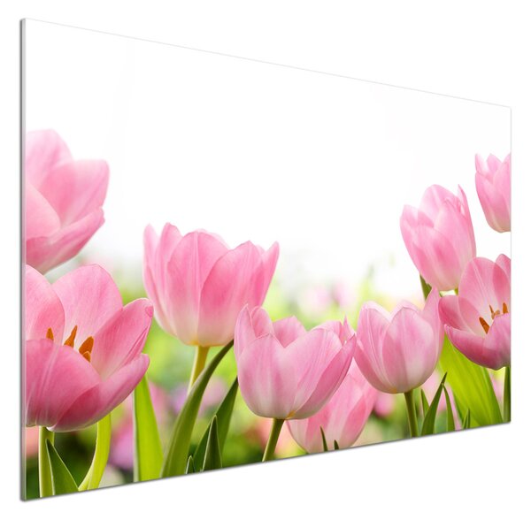 Panel do kuchyně Růžové tulipány pksh-76412458
