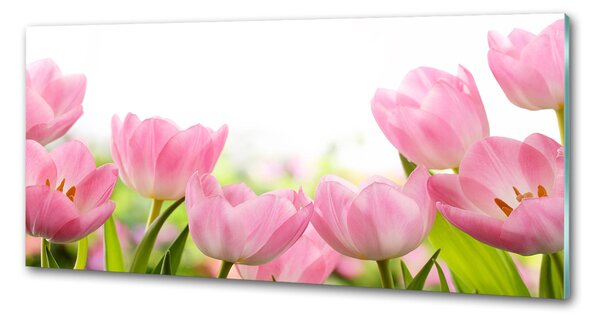 Panel do kuchyně Růžové tulipány pksh-76412458