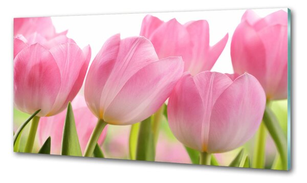 Panel do kuchyně Růžové tulipány pksh-76775867