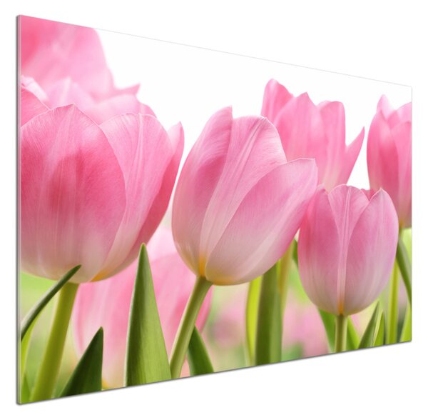 Panel do kuchyně Růžové tulipány pksh-76775867