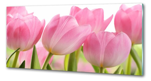 Panel do kuchyně Růžové tulipány pksh-76775867
