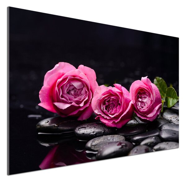 Dekorační panel sklo Růžové růže pksh-77048055