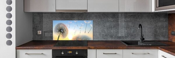 Dekorační panel sklo Pampeliška pksh-77227554