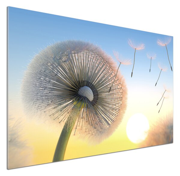 Dekorační panel sklo Pampeliška pksh-77227554