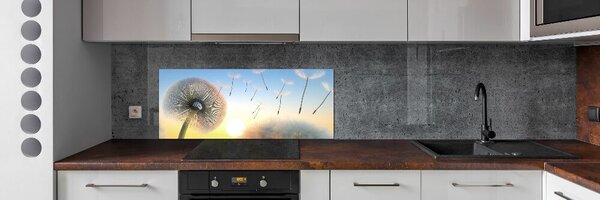 Dekorační panel sklo Pampeliška pksh-77227554