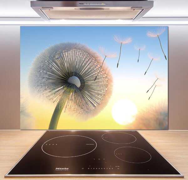 Dekorační panel sklo Pampeliška pksh-77227554