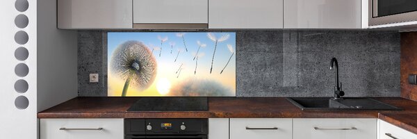 Dekorační panel sklo Pampeliška pksh-77227554