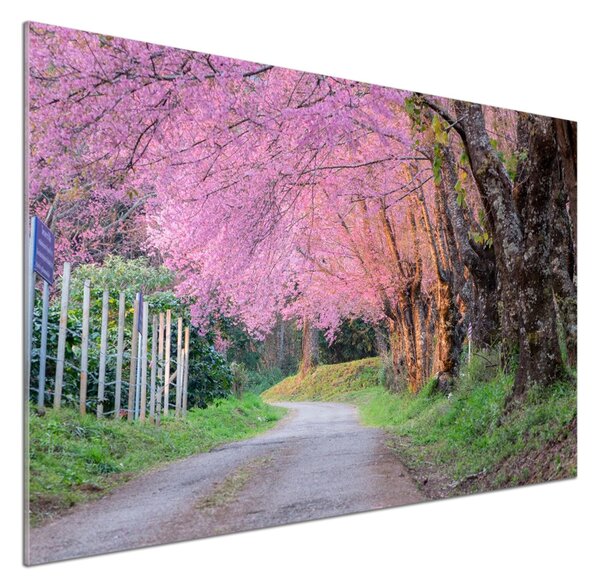 Dekorační panel sklo Květy višně pksh-77554228