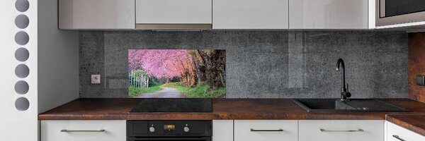 Dekorační panel sklo Květy višně pksh-77554228
