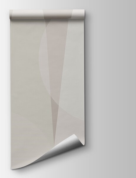 Fototapeta Šedé a bílé pozadí s kruhy a čarami, Moderní fototapety, Populární fototapety, w08304 - Tapeko.co.cz