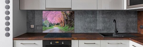 Dekorační panel sklo Květy višně pksh-77554228