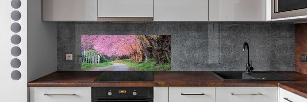 Dekorační panel sklo Květy višně pksh-77554228