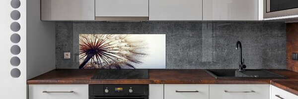 Dekorační panel sklo Pampeliška pksh-78624800