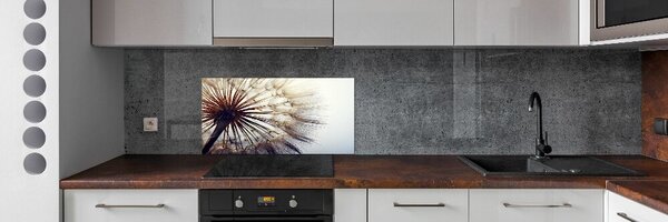 Dekorační panel sklo Pampeliška pksh-78624800