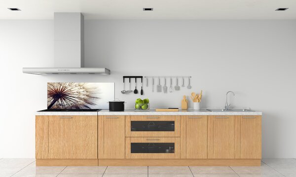 Dekorační panel sklo Pampeliška pksh-78624800