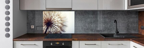 Dekorační panel sklo Pampeliška pksh-78624800