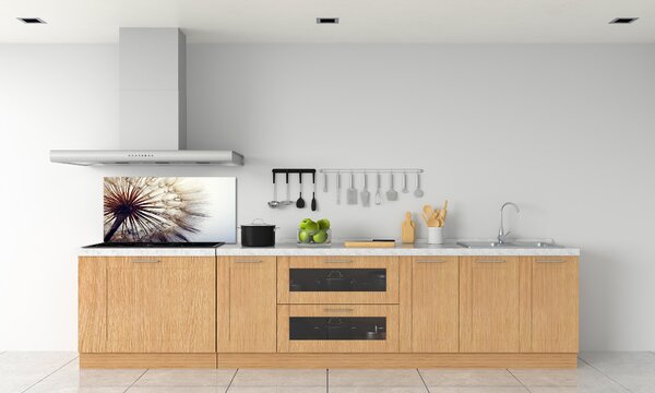 Dekorační panel sklo Pampeliška pksh-78624800