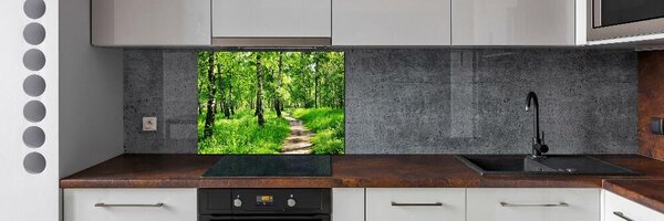 Dekorační panel sklo Břízový les pksh-78692232