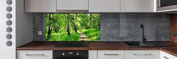 Dekorační panel sklo Břízový les pksh-78692232
