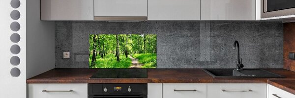 Dekorační panel sklo Břízový les pksh-78692232