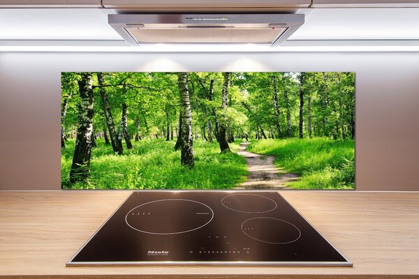 Dekorační panel sklo Břízový les pksh-78692232