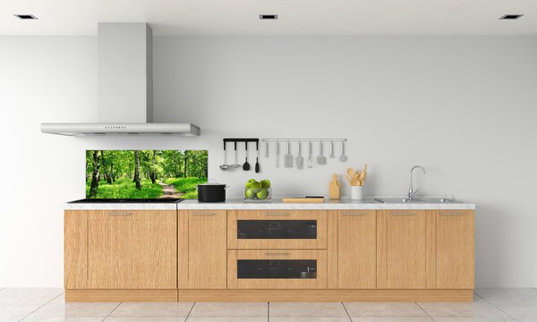Dekorační panel sklo Břízový les pksh-78692232